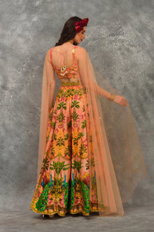 Peacock Sharara Set