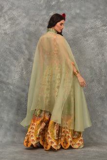 Elephant Sharara Cape