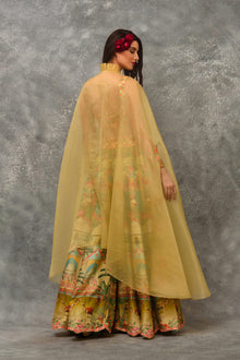 Camel Sharara Cape
