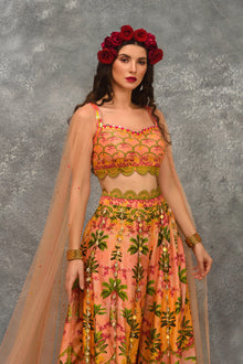 Peacock Sharara Set