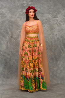 Peacock Sharara Set