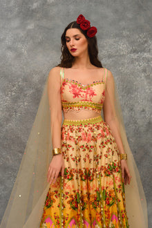 Deer Sharara Set