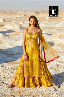 Rajasthan City Palace Gharara Set