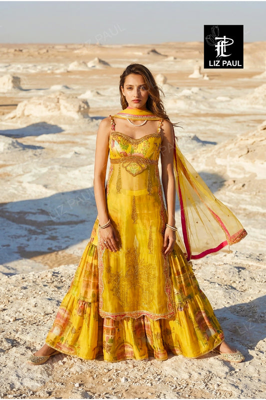 Rajasthan City Palace Gharara Set